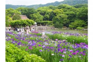 日本庭園　南楽園